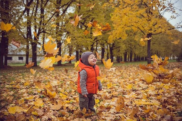 Падают листья